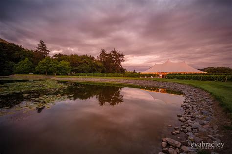 Craggy Range Winery wedding in Hawke's Bay — Eva Bradley Photography ...