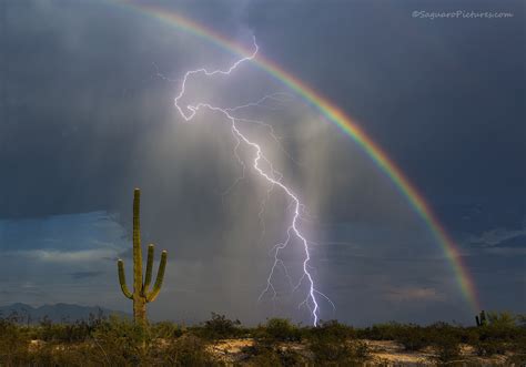 A Spectacular Photo That Captures a Lightning Bolt Striking Alongside a ...