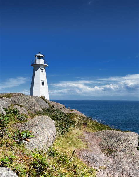 Cape Spear Lighthouse Vrt Photograph by Steve Hurt