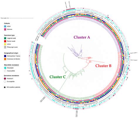 Microorganisms | Free Full-Text | Molecular Typing Reveals Distinct ...