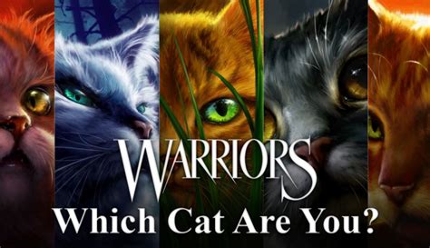 Warrior Cats Quiz: Which 1 of 10 Cats Is Same as You?