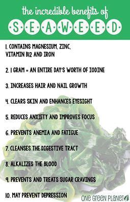 77 best images about Seaweed Powder Benefits on Pinterest | Spirulina ...