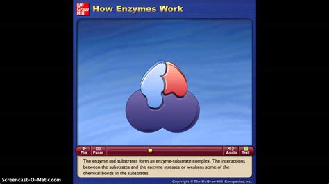 How Enzymes Work Animation - YouTube