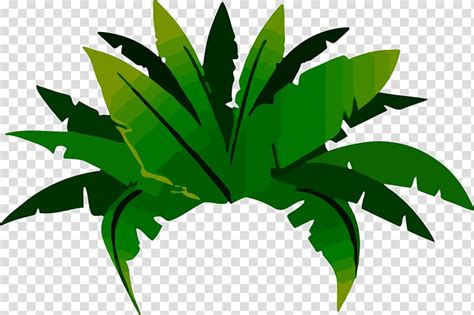 Free download | Green plant , Jungle Tropical rainforest Amazon ...