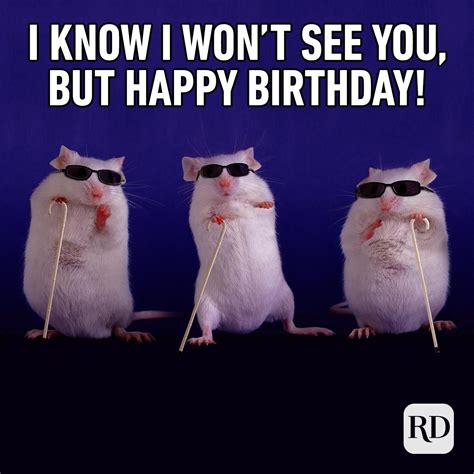 52 Funny Birthday Memes That Will Make Anyone Smile on Their Big Day