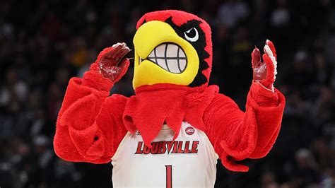 Louisville Basketball Fan Reads Newspaper Instead Of Watching Game