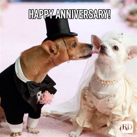 25 Funniest Happy Anniversary Memes | Reader's Digest