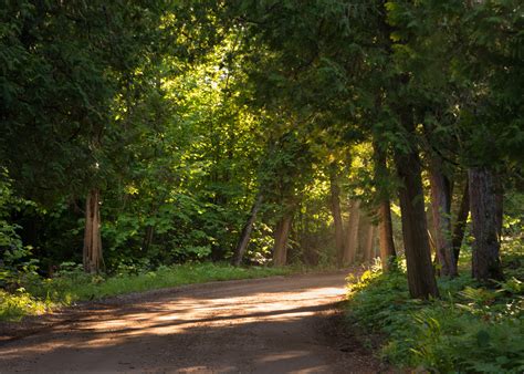 Wilderness State Park #1 — Outdoor Imaging by Brad Terry