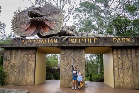 The Australian Reptile Park (Insider's Guide) - iCentralCoast