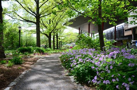 2018.5.15_CREDIT Jess Brey44 - Queens Botanical Garden