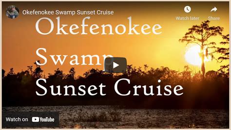 Okefenokee Swamp Sunset Boat Tour – Okefenokee Photography Project by ...