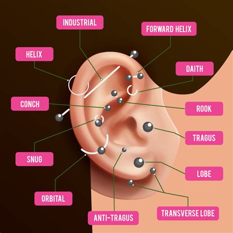 Ear Piercing Chart: 27 Different Types to Inspire Your Next Look