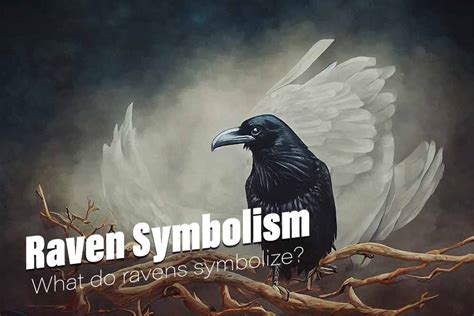 Raven Symbolism Cultural And Spiritual Meanings, 41% OFF