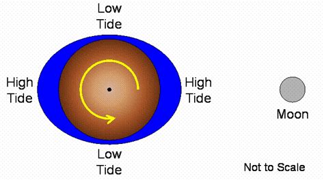 Lecture 20: Tides