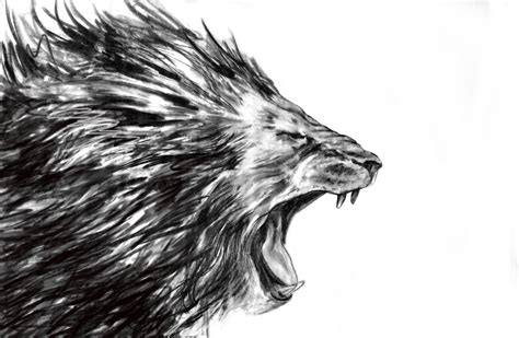 Lion Roaring Front View Drawing