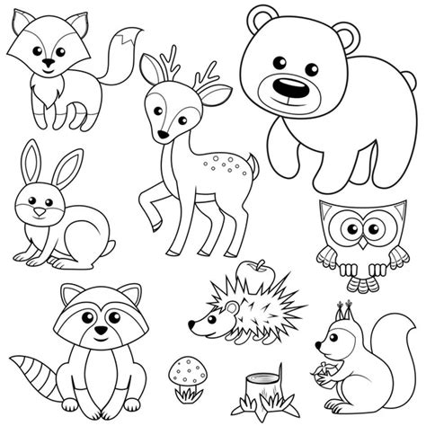 Dibujos animados de ardilla del bosque para colorear vector libro ...