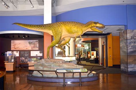 5 BEST Attractions at San Diego Natural History Museum - CityBOP