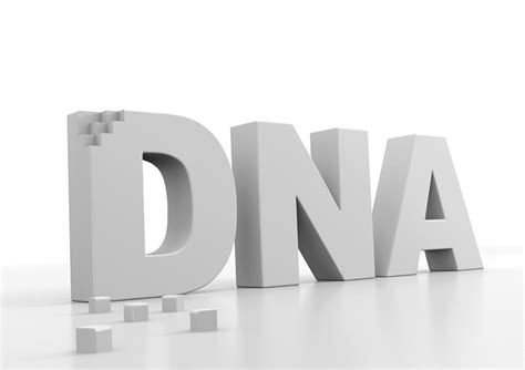 Dna Building Blocks, Conceptual Image Photograph by David Mack