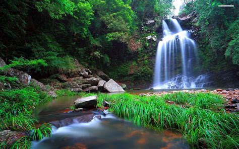 Free photo: Exotic Waterfall - Scape, Parks, Peace - Free Download - Jooinn