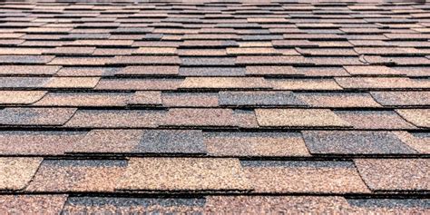 Best Types of Asphalt Roof Shingles in Florida | Classic Roofing