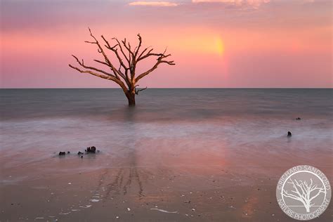 Botany Bay Sunset - Fine Art Nature Photography