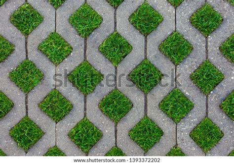 Grass Paver Blocks Stock Photos and Pictures - 6,716 Images | Shutterstock