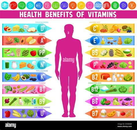 Benefits and sources of vitamins and minerals, vector infographic chart ...