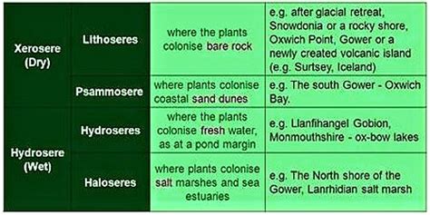 Difference between Hydrosere and Xerosere - QS Study