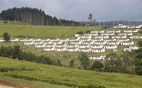 Kericho, the countryside of majestic wonders - The Standard