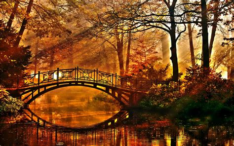 Autumn Bridge wallpaper | 2560x1600 | #28989