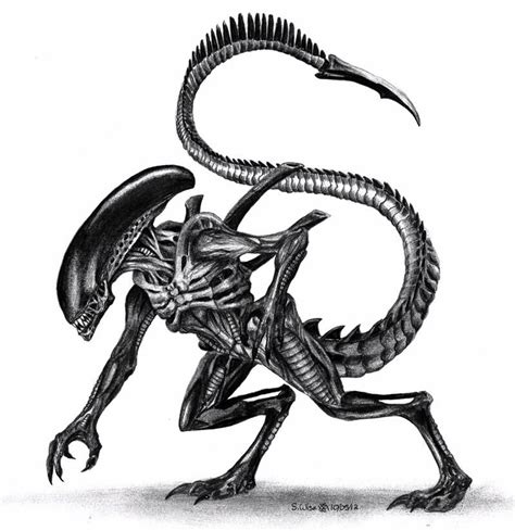 Xenomorph by Glaiceana on DeviantArt | Predator alien art, Xenomorph ...