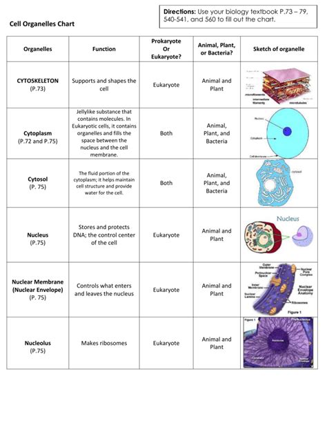 Cell Structure Cell Organelles And Their Function F92