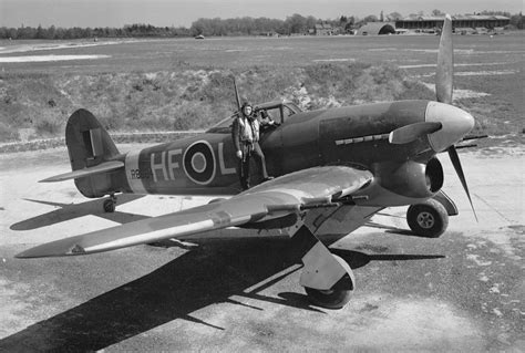 RAF Hawker Typhoon, it wasn't a small fellow : r/WWIIplanes