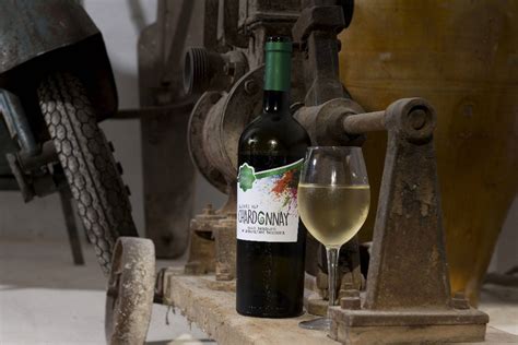 Best Wine Tasting Tours | Things to do in Puglia