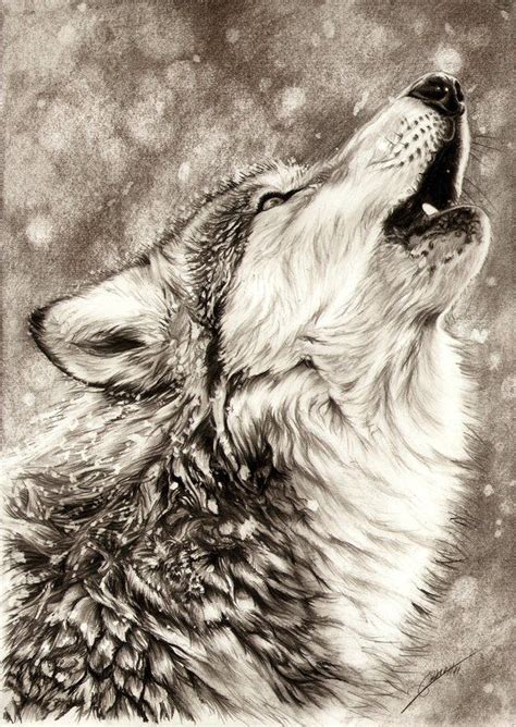 Georgeous and amazing drawing technique for fur & animals in general ...