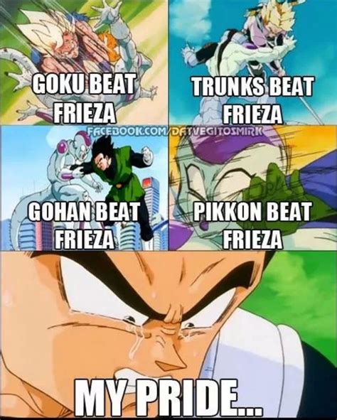 Dragon Ball: 15 Goku Vs Vegeta Memes That Prove Who The Better Saiyan Is