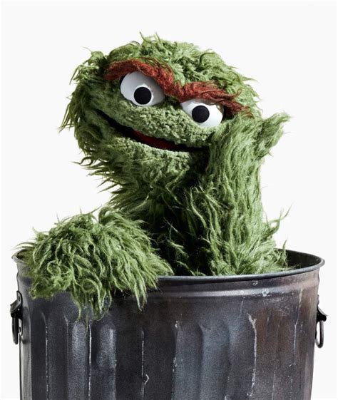 Featured Customer – Oscar the Grouch – Squarespace in 2020 | Oscar the ...