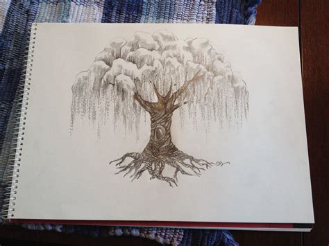 Pencil Drawing Of A Willow Tree