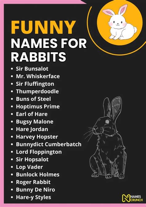 Funny Names for Rabbits (Clever & Unique) - Names Crunch