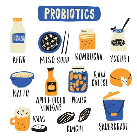 The Microbiome and Health: Probiotics Are Good For Your Gut | DEXA Scan ...