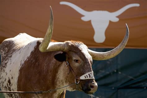 Texas University Deletes Tweet Featuring Their Mascot Bevo In A Ghost ...