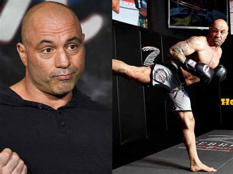 "I would pretend it's great," Joe Rogan reveals dark truth about ...