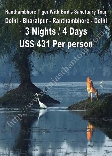 Ranthambhore Tiger With Bird’s Sanctuary Tour 3 Nights / 4 Days Delhi ...