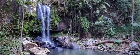 Guide to Mt Tamborine Waterfalls + A Map To Plan Your Visit