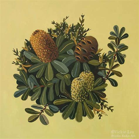 Green Banksia Art Print | Australian Native Flower | Giclee Fine Art Print