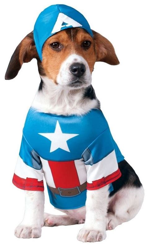 Superhero Dog Costumes Funny Pet Halloween Fancy Dress | Pet costumes ...