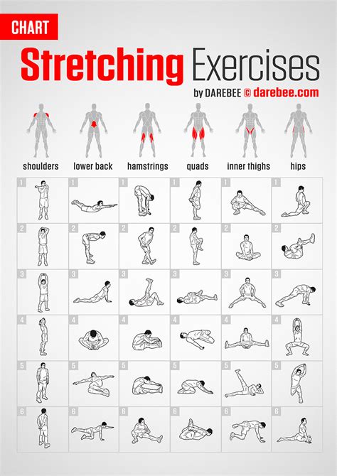 Stretching Exercises | Chart by DAREBEE #darebee #fitness #workout # ...