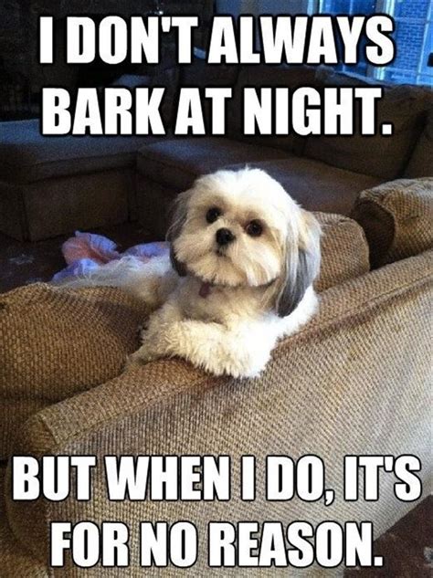 Barking Dog Quotes. QuotesGram