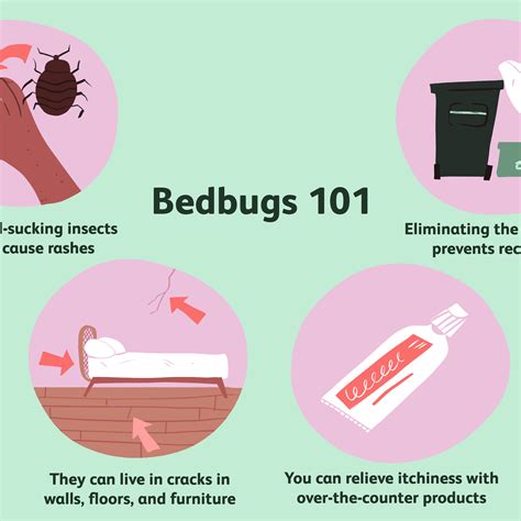 How To Get Rid Of Bed Bug Bites On Skin – Pest Phobia