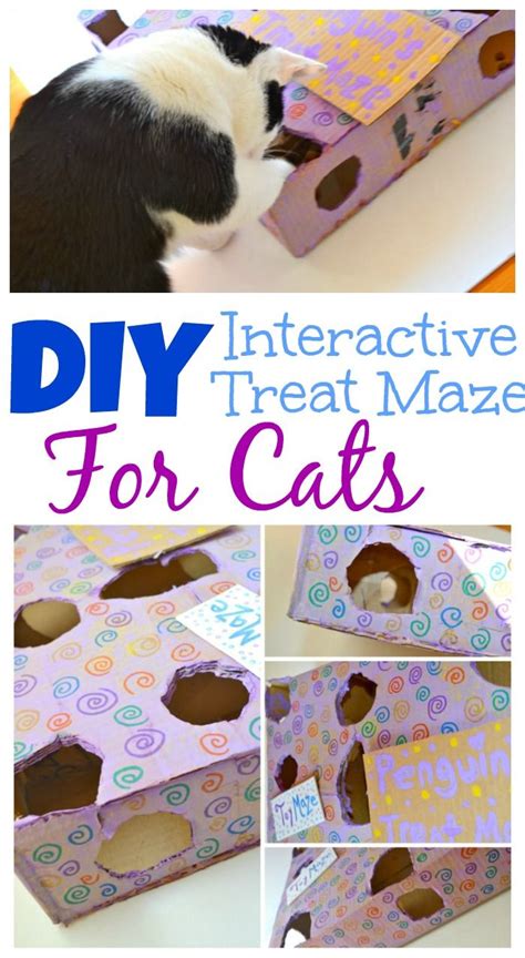 DIY Interactive Treat Maze For Cats | Cats, Diy, Cat diy